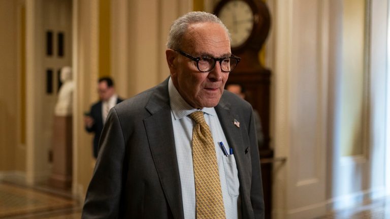 Schumer calls on Trump to withdraw nominee over ‘foul and disqualifying’ texts