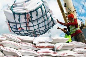 Marcos extends rice import ban through year-end to support farmers
