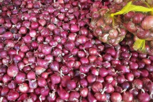 Red onion prices expected to stabilize towards year’s end
