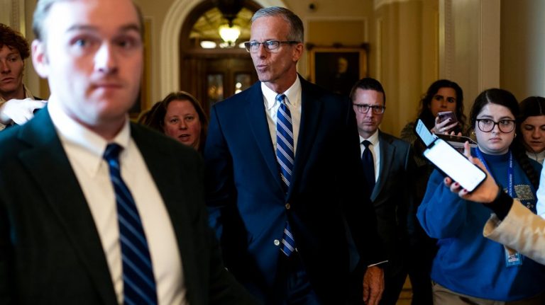 Senate GOP rips Democratic offer to end shutdown: ‘Nonstarter’