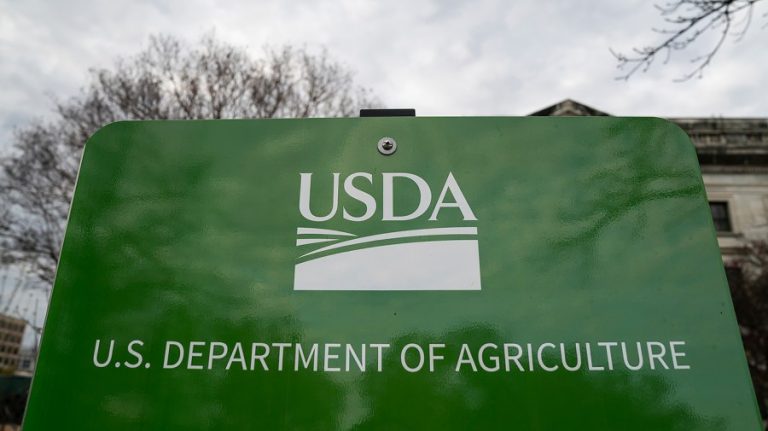 USDA tells states SNAP will be fully funded during appeal