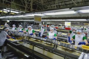 Del Monte Pacific says Q2 profit jumped to $16.8M on strong sales