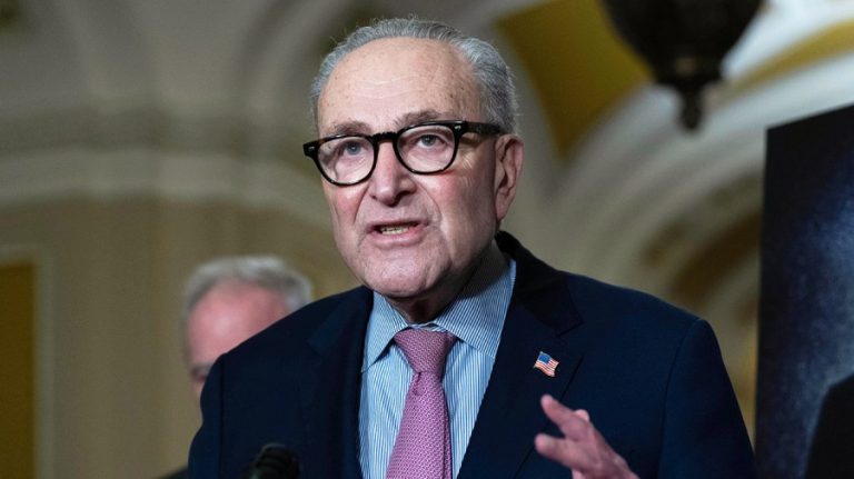 Schumer calls for Senate to sue administration over Epstein files