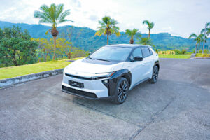 Getting bZ for carbon neutrality