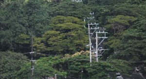 Rural electrification rate seen at 94% by end-2026